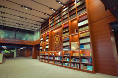 Maximizing Global Reach for an International Education